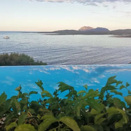 アパート Ladunia